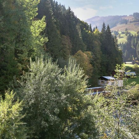 Apartment In Salzburgerland Near The Ski Area วีโฮเฟิน ภายนอก รูปภาพ