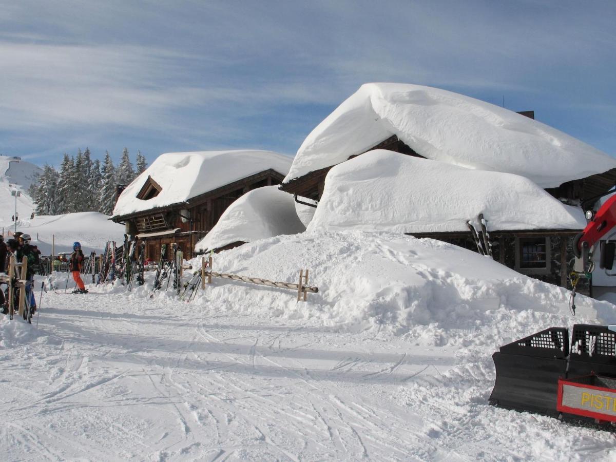 Apartment In Salzburgerland Near The Ski Area วีโฮเฟิน ภายนอก รูปภาพ