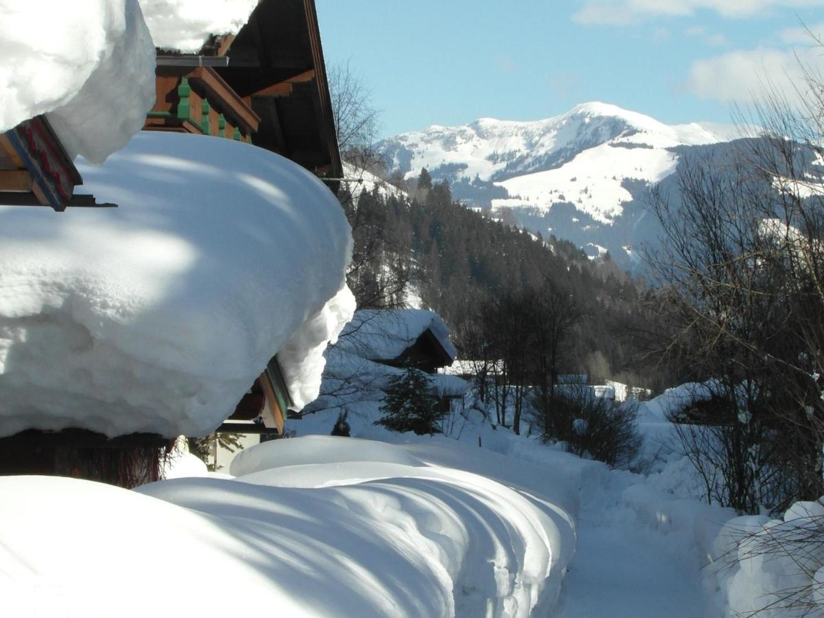 Apartment In Salzburgerland Near The Ski Area วีโฮเฟิน ภายนอก รูปภาพ