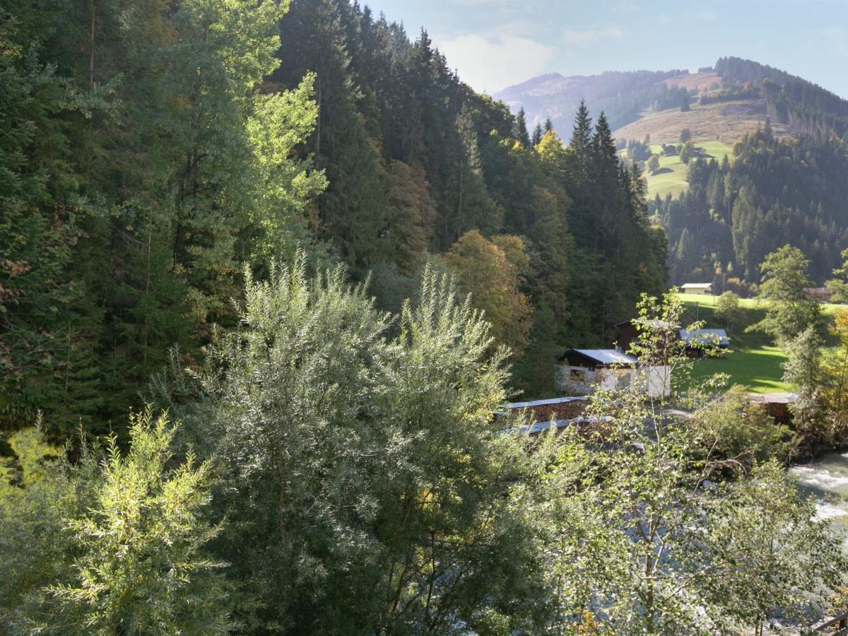 Apartment In Salzburgerland Near The Ski Area วีโฮเฟิน ภายนอก รูปภาพ