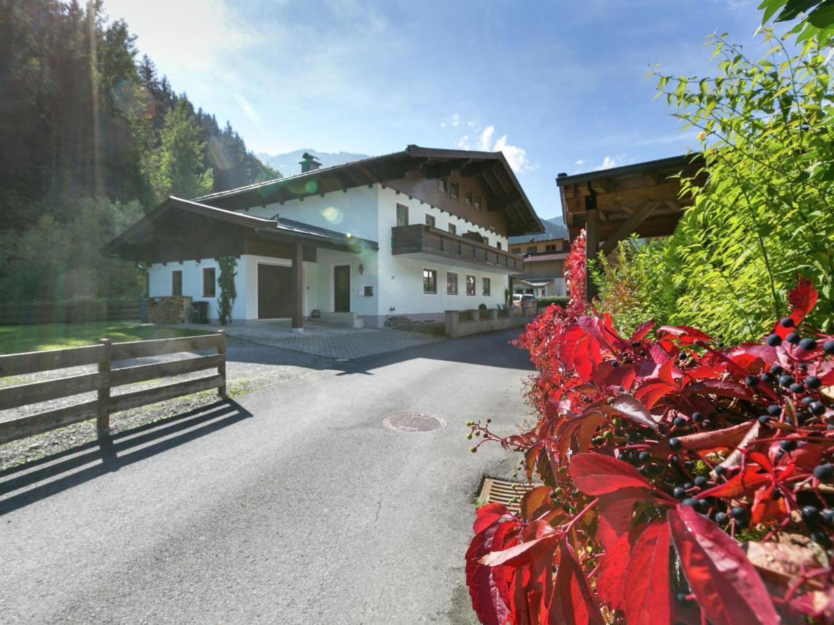 Apartment In Salzburgerland Near The Ski Area วีโฮเฟิน ภายนอก รูปภาพ