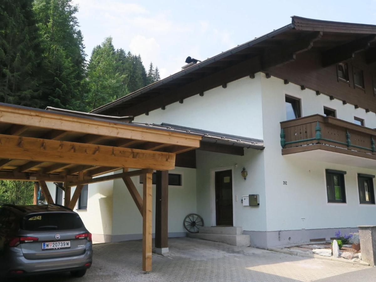 Apartment In Salzburgerland Near The Ski Area วีโฮเฟิน ภายนอก รูปภาพ