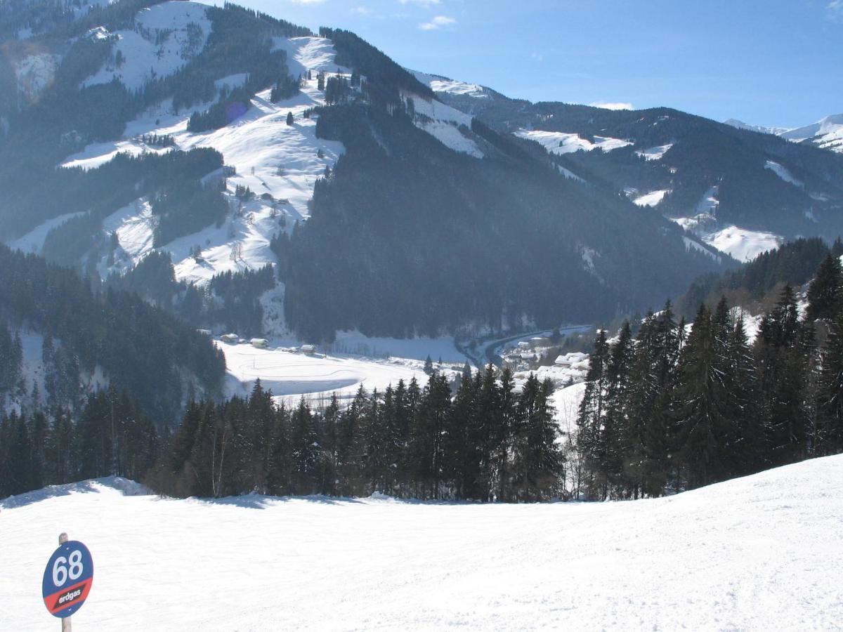 Apartment In Salzburgerland Near The Ski Area วีโฮเฟิน ภายนอก รูปภาพ