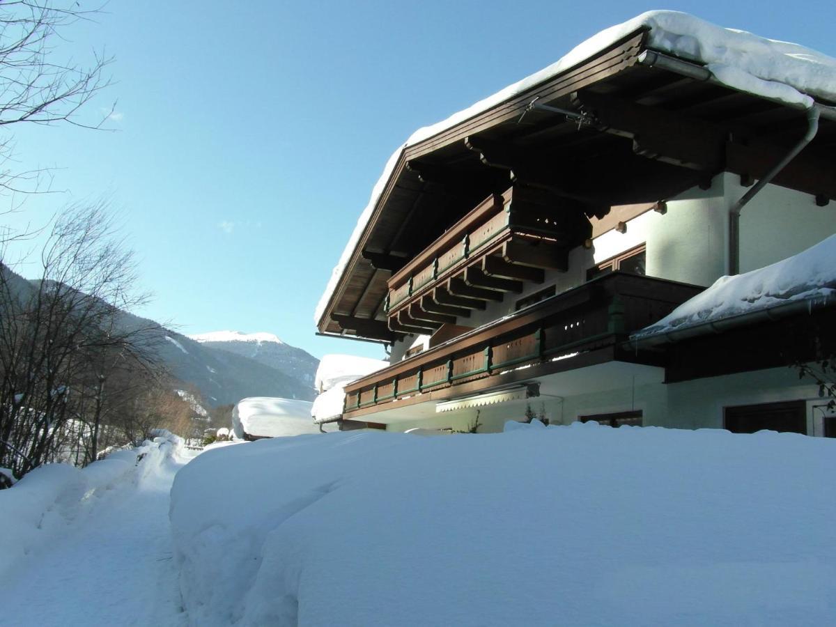 Apartment In Salzburgerland Near The Ski Area วีโฮเฟิน ภายนอก รูปภาพ
