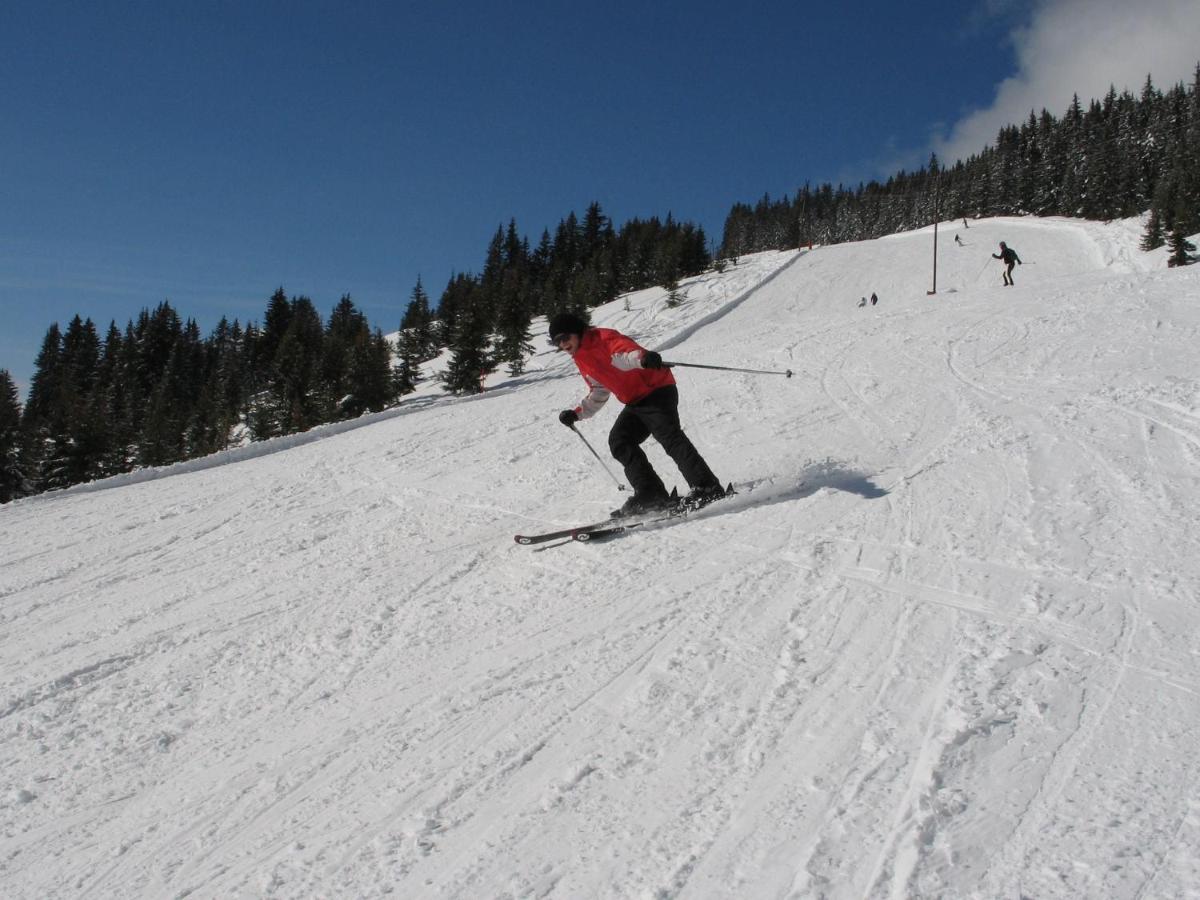 Apartment In Salzburgerland Near The Ski Area วีโฮเฟิน ภายนอก รูปภาพ